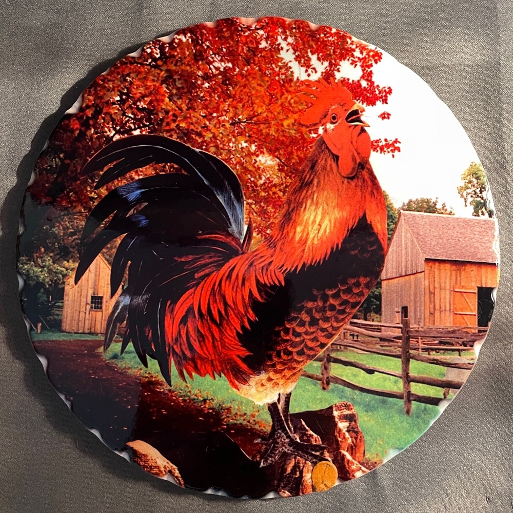 Red Shed Home & Gifts Round Vibrantly Colored Glazed Ceramic Rooster Trivet, 8”